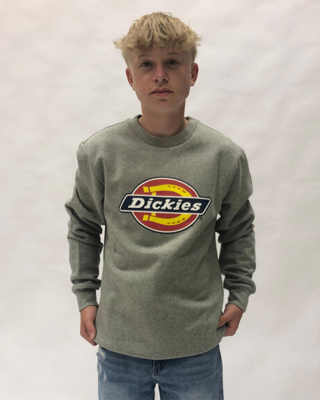 Dickies - Dickies sweatshirt